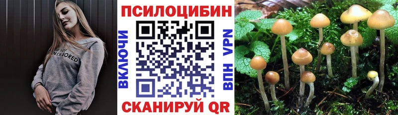 Галлюциногенные грибы Psilocybine cubensis  нарко площадка клад  Салаир 